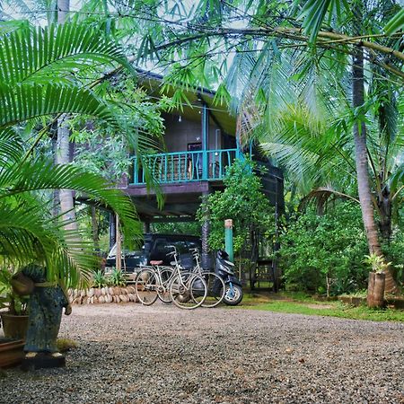Passion Ray Villa & Tree Hut Sigiriya Ngoại thất bức ảnh