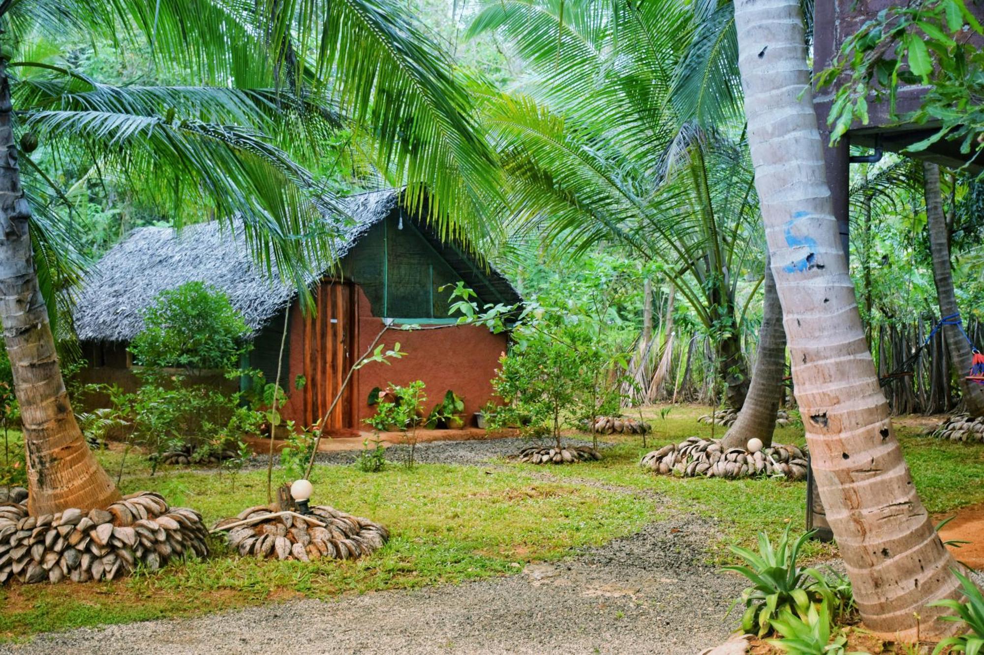 Passion Ray Villa & Tree Hut Sigiriya Ngoại thất bức ảnh