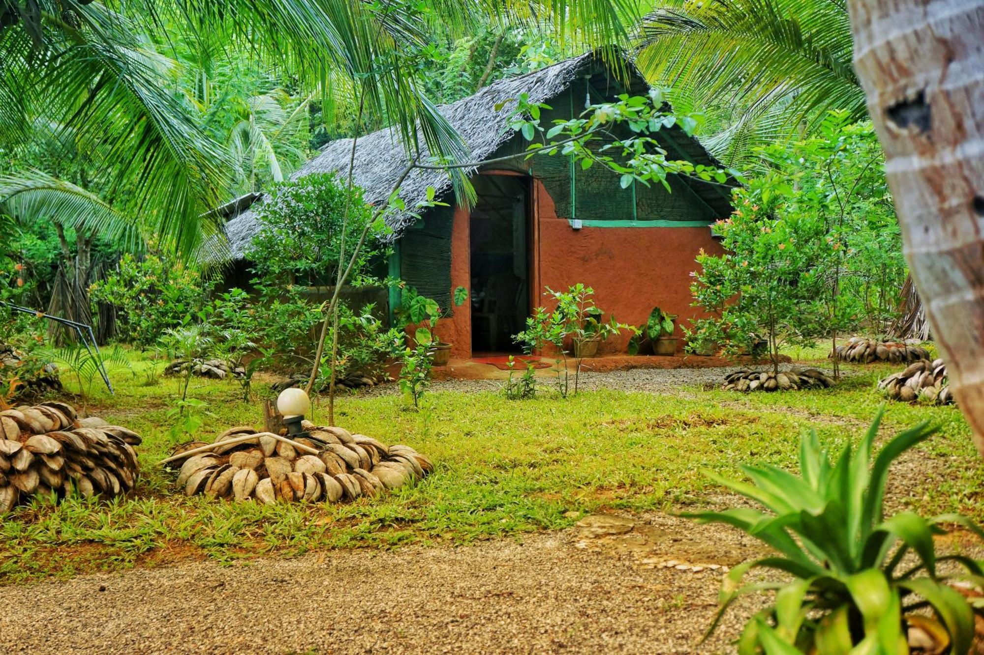 Passion Ray Villa & Tree Hut Sigiriya Phòng bức ảnh