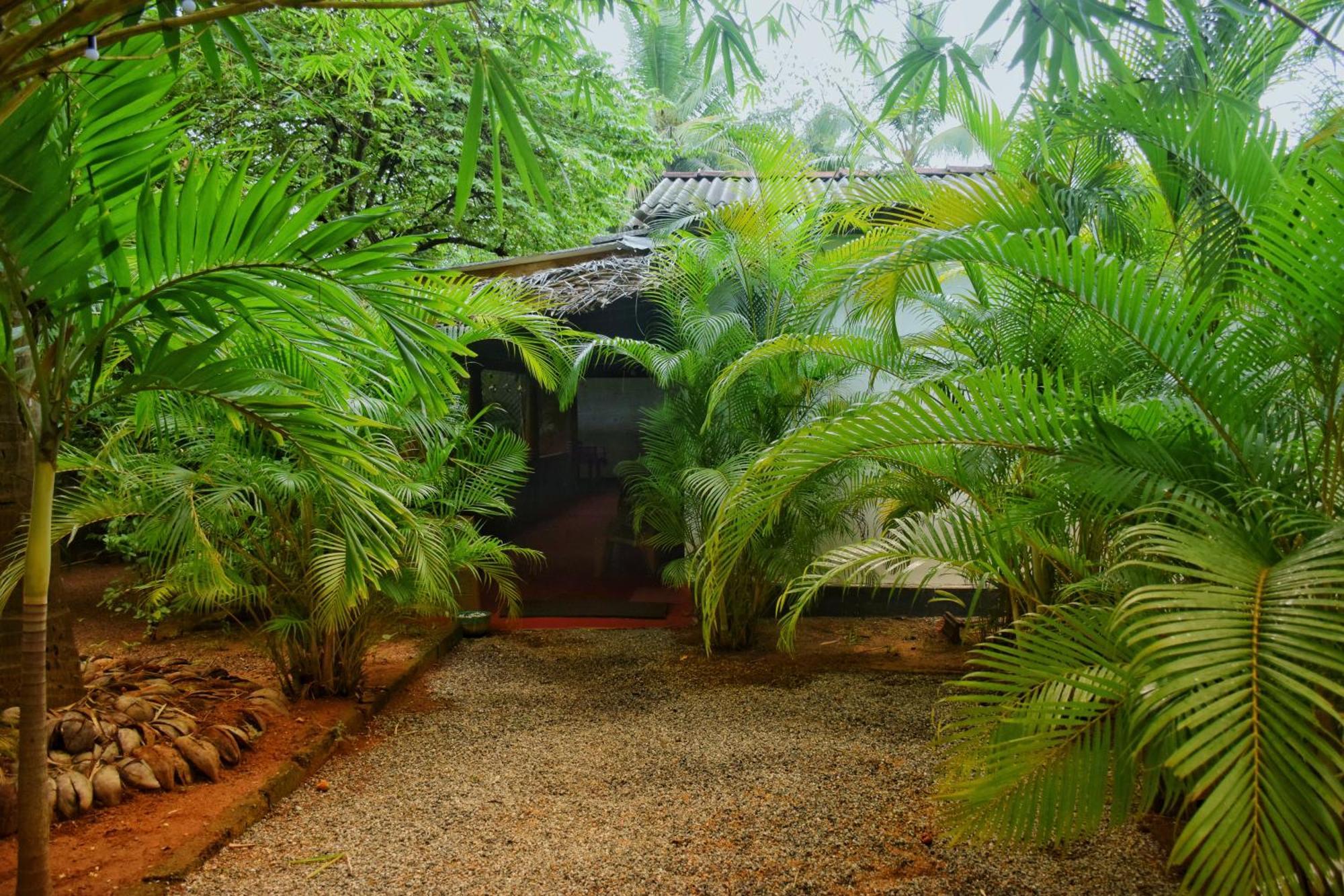 Passion Ray Villa & Tree Hut Sigiriya Ngoại thất bức ảnh