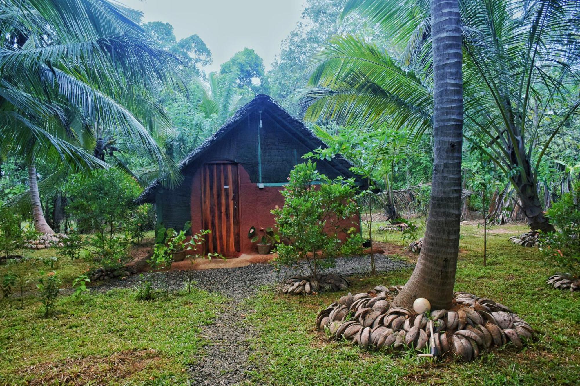 Passion Ray Villa & Tree Hut Sigiriya Phòng bức ảnh