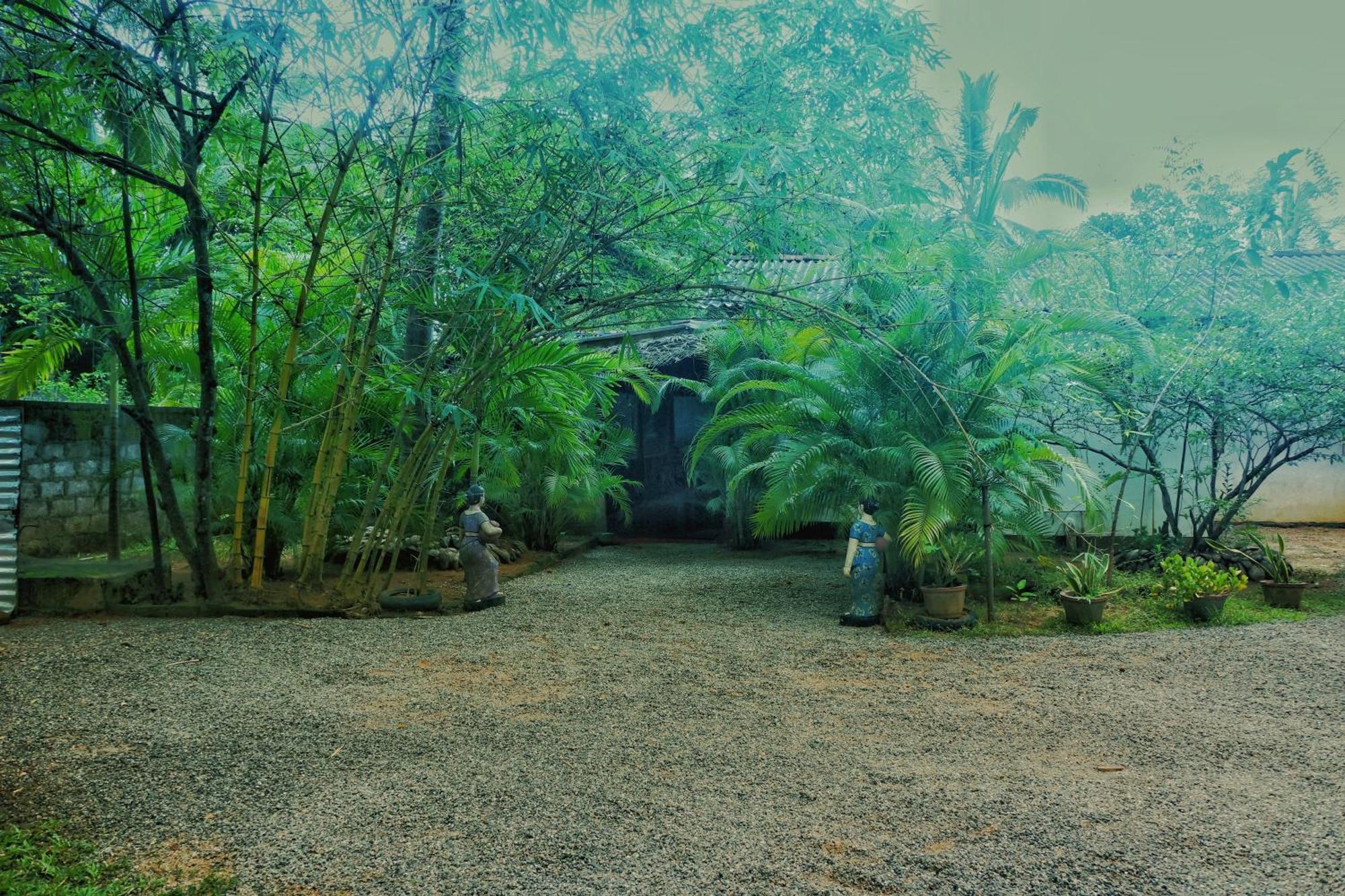 Passion Ray Villa & Tree Hut Sigiriya Ngoại thất bức ảnh