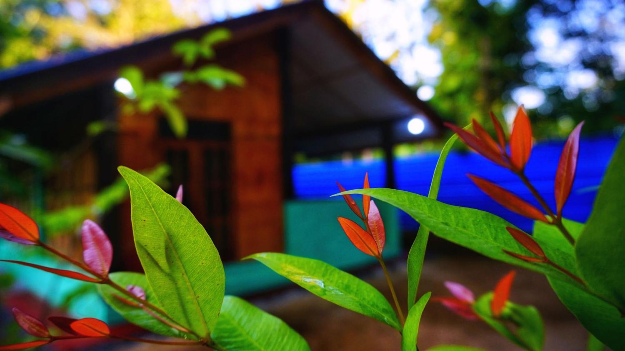Passion Ray Villa & Tree Hut Sigiriya Ngoại thất bức ảnh